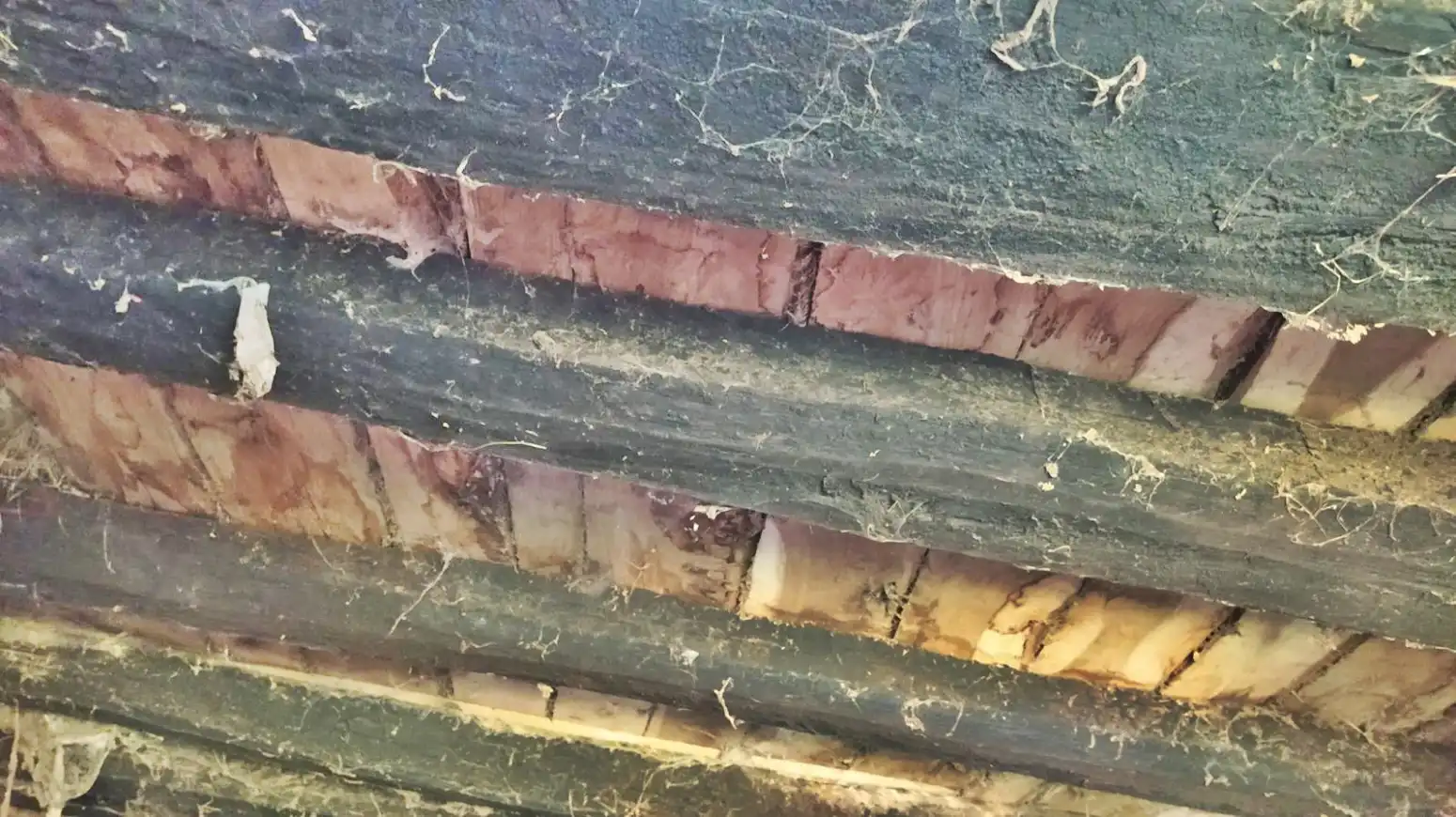 Vista exterior de Local en venta en Luena 