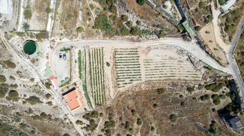 Foto 2 de Finca rústica en venta en Calle Chicato, Fasnia, Santa Cruz de Tenerife