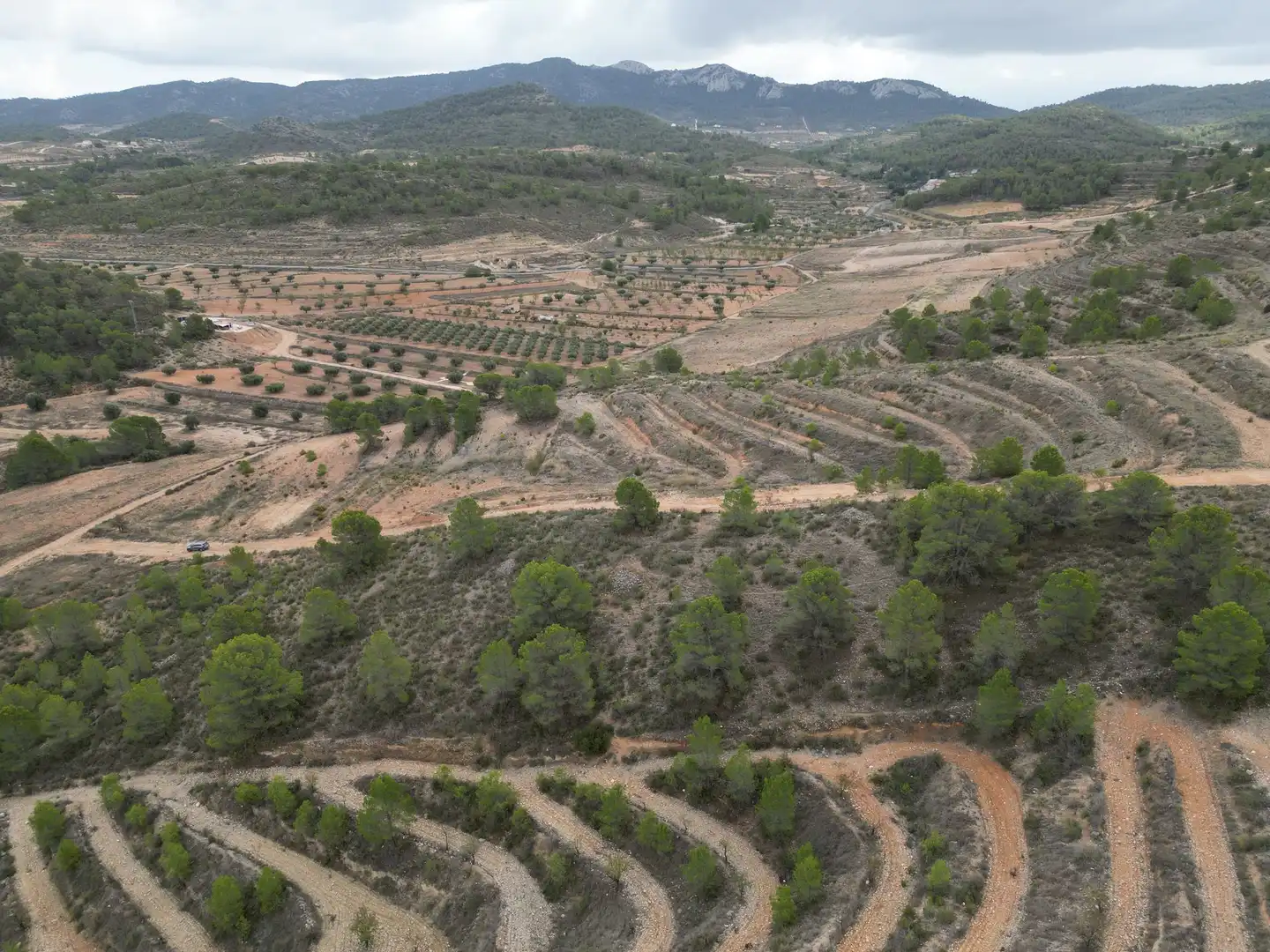 Terreny residencial en venda a Jumilla, imagen 9