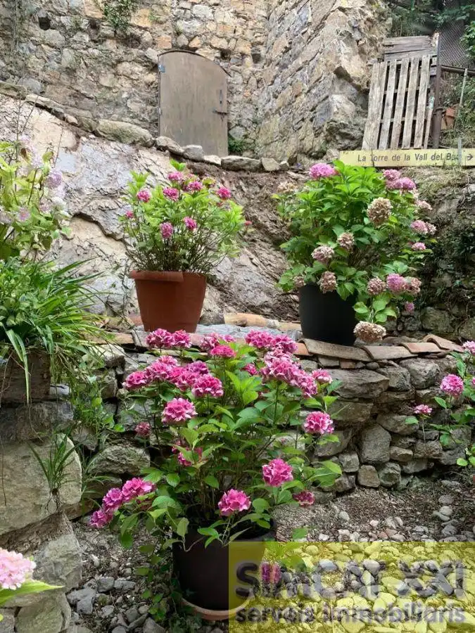 Casa rustica in vendita a La Vall de Bianya, imagen 25