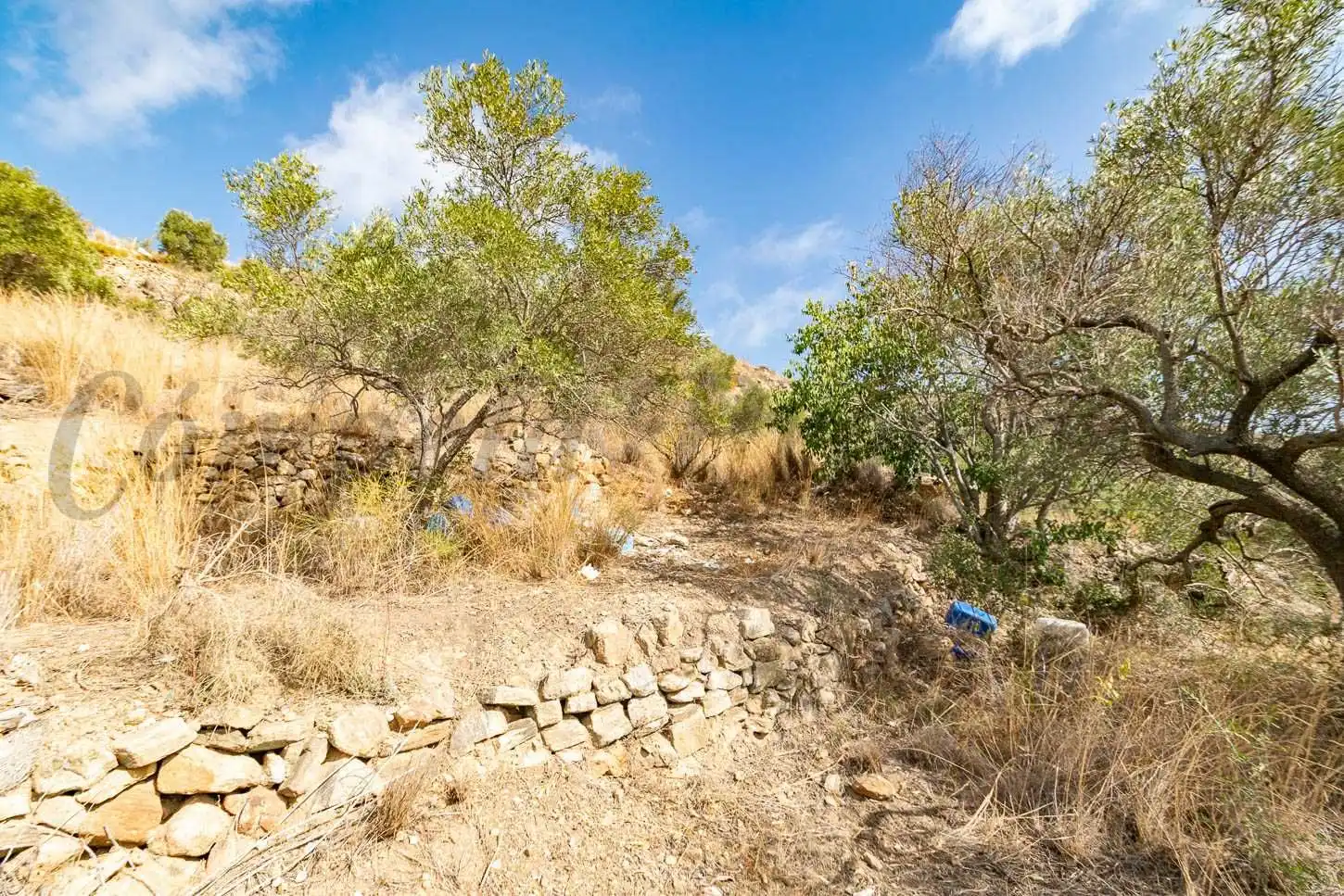 Terreno rústico en venta en Torrox Pueblo, imagen 13