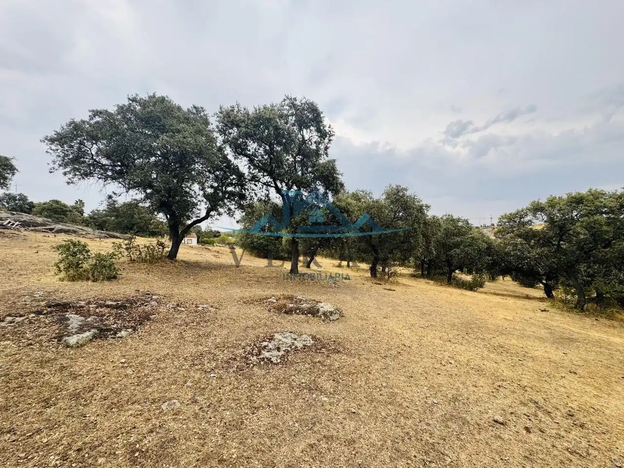 Terreni e lotti in vendita a Molinos, imagen 10