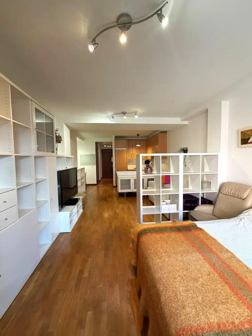 Sala d'estar de Estudi de lloguer en Oviedo  amb Calefacció, Terrassa i Moblat