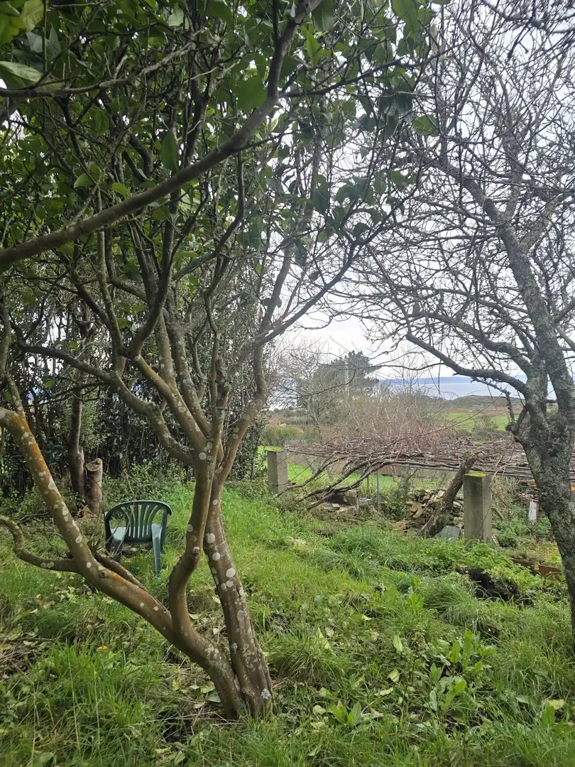 Finca rústica en venda en Ferrol amb Terrassa i Traster