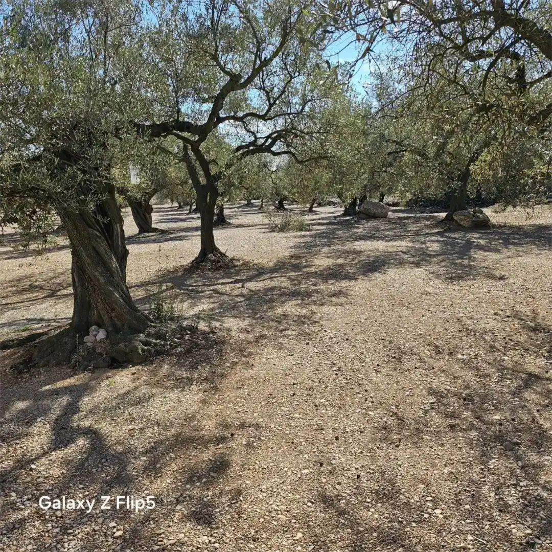 Grundstücke zum Verkauf in La Galera , Tarragona