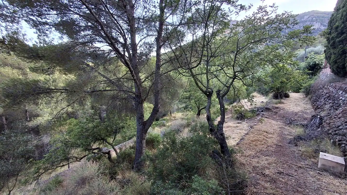 Finca rústica en venda en Cabanes amb Jardí privat, Terrassa i Piscina
