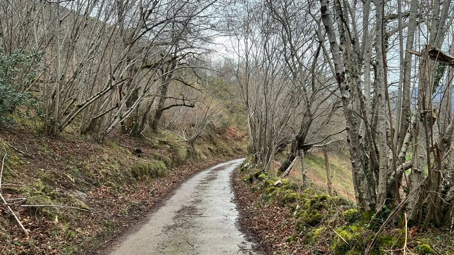 Terreno rustico in vendita a Cangas de Onís, imagen 23