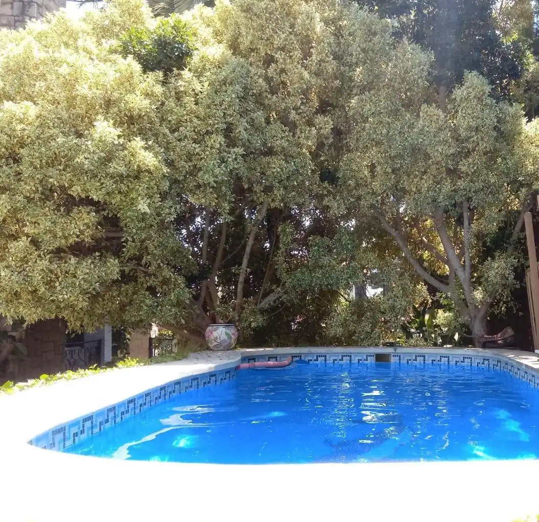 Piscina de Casa o chalet en venta en Torrent con Aire acondicionado, Jardín privado y Terraza