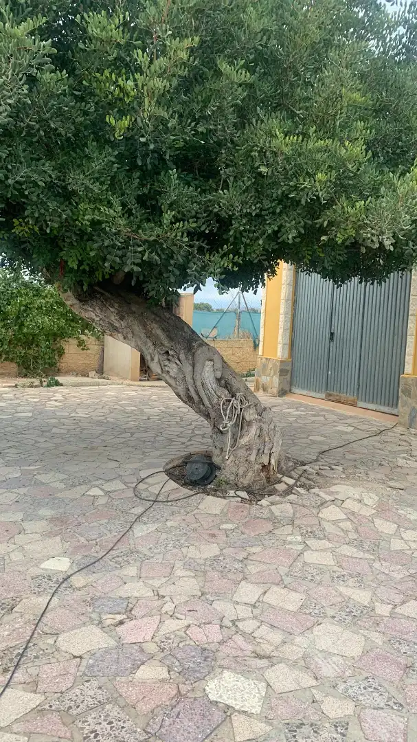 Habitación en Los Girasoles