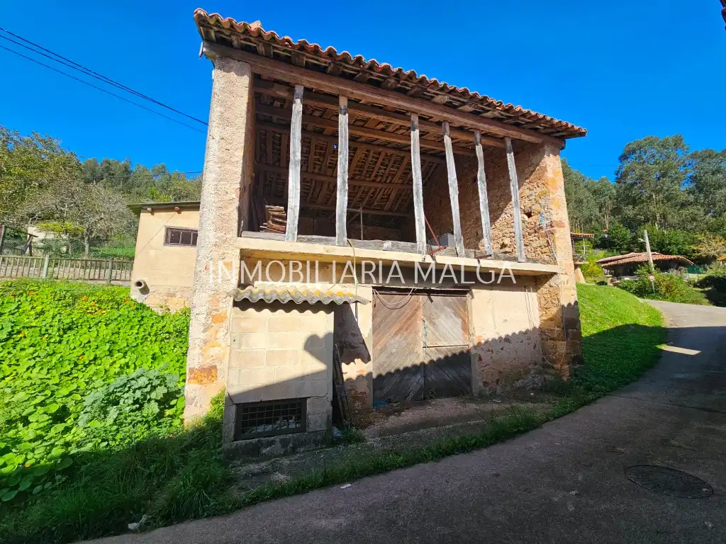 Vista exterior de Casa o chalet en venta en Colunga