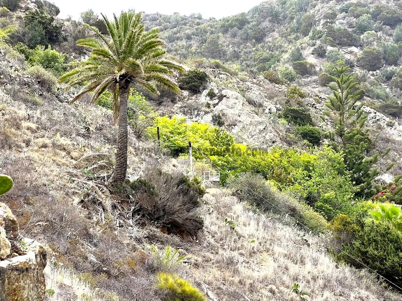 Vista exterior de Finca rústica en venta en Vallehermoso con Aire acondicionado, Calefacción y Jardín privado