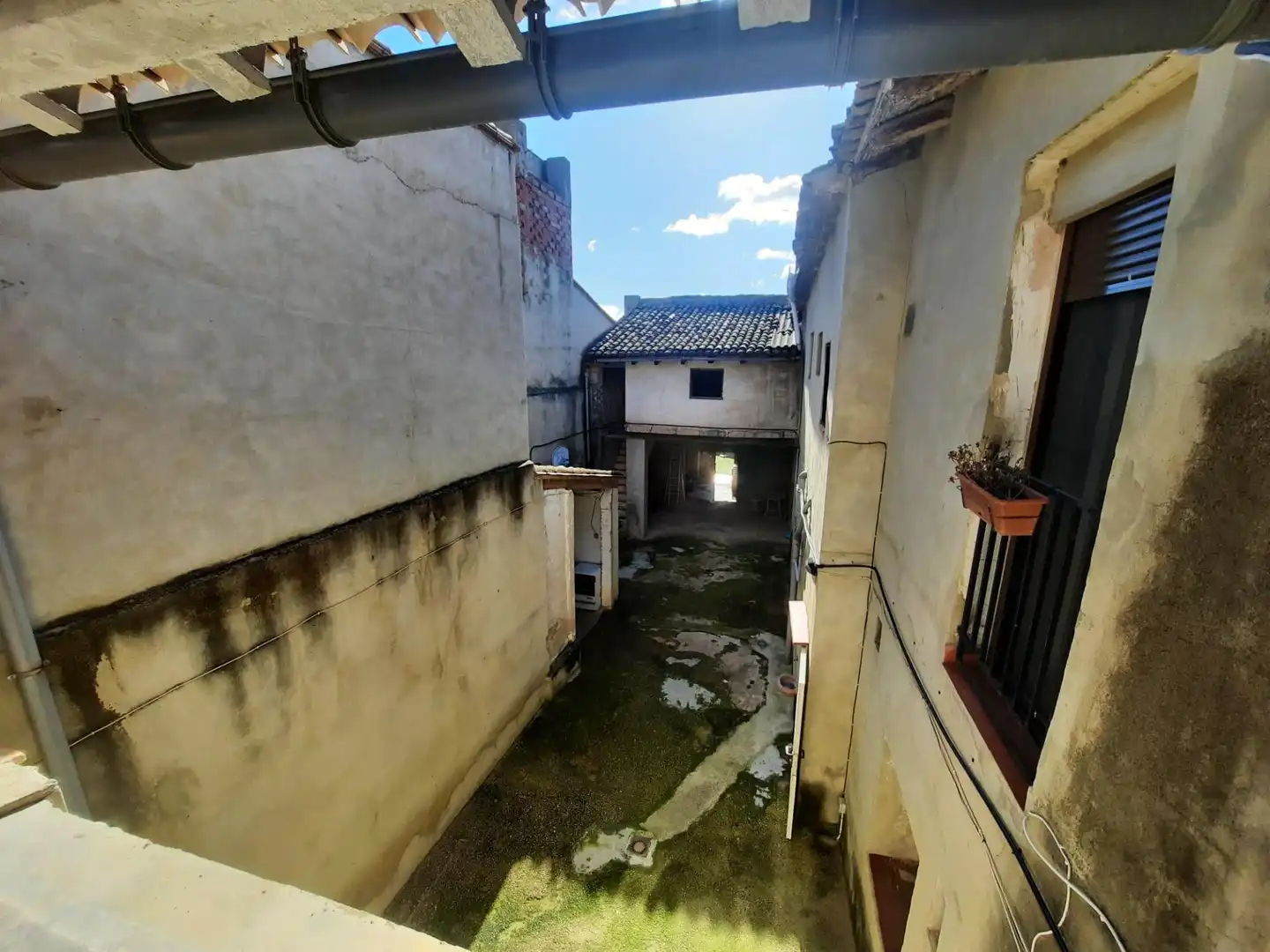 Vista exterior de Casa o xalet en venda en Alcàntera de Xúquer amb Jardí privat i Terrassa