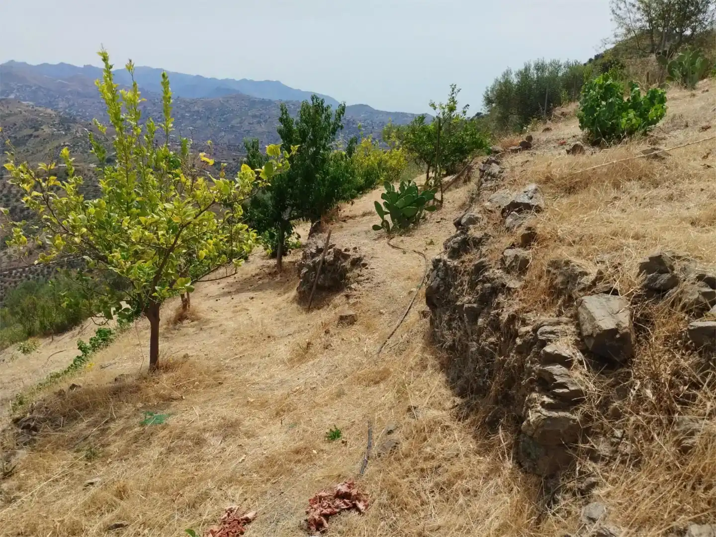 Terreno en venta en Arenas