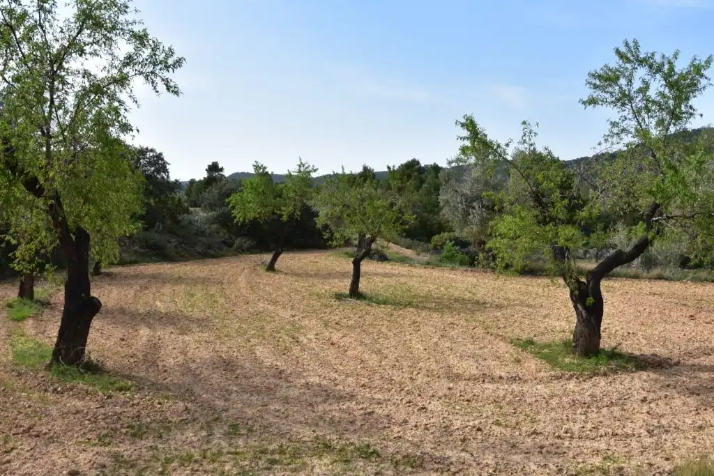Country homes for sale in Ráfales