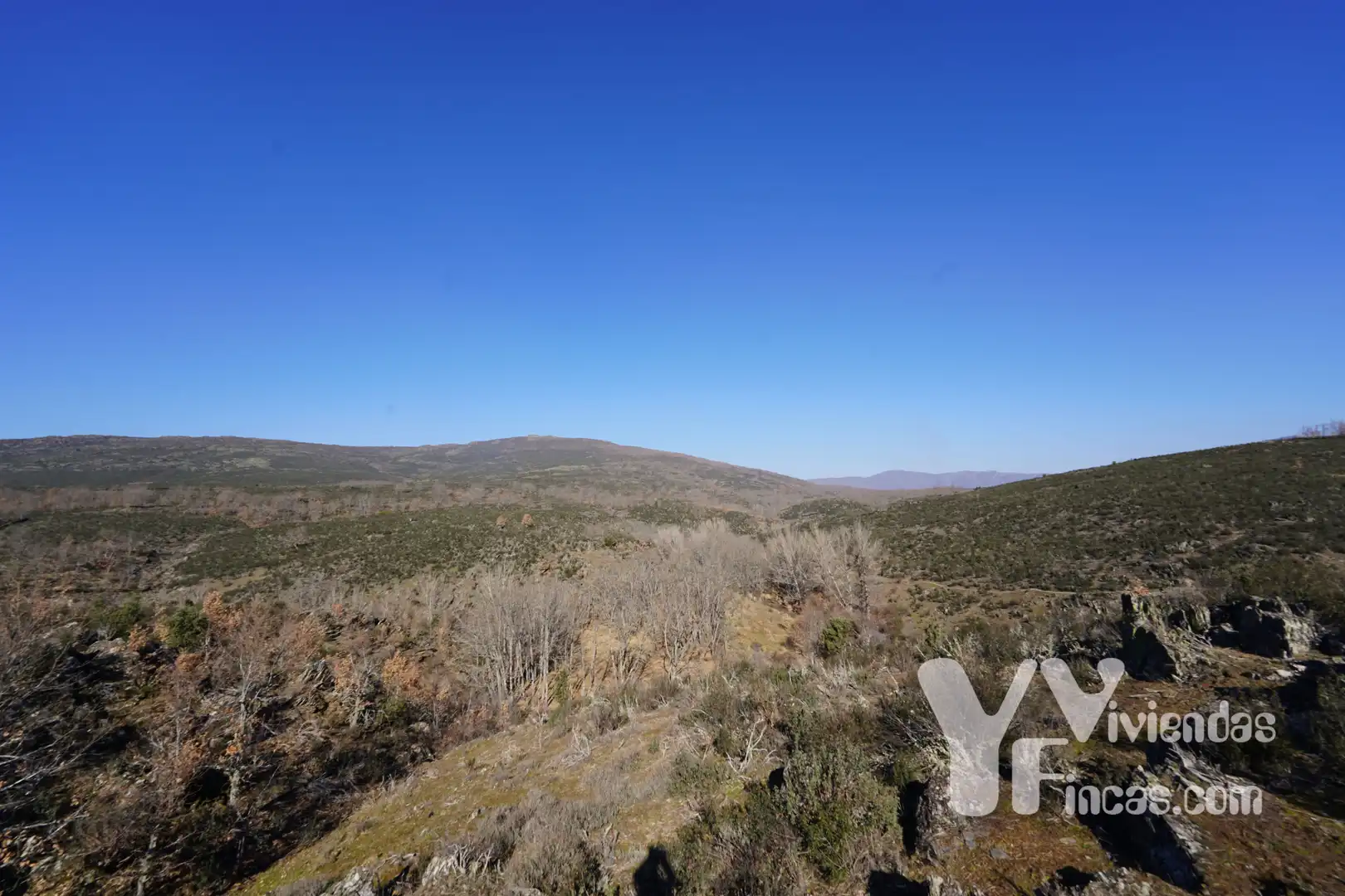 Terreno rústico en venta en Campillo de Ranas, imagen 13