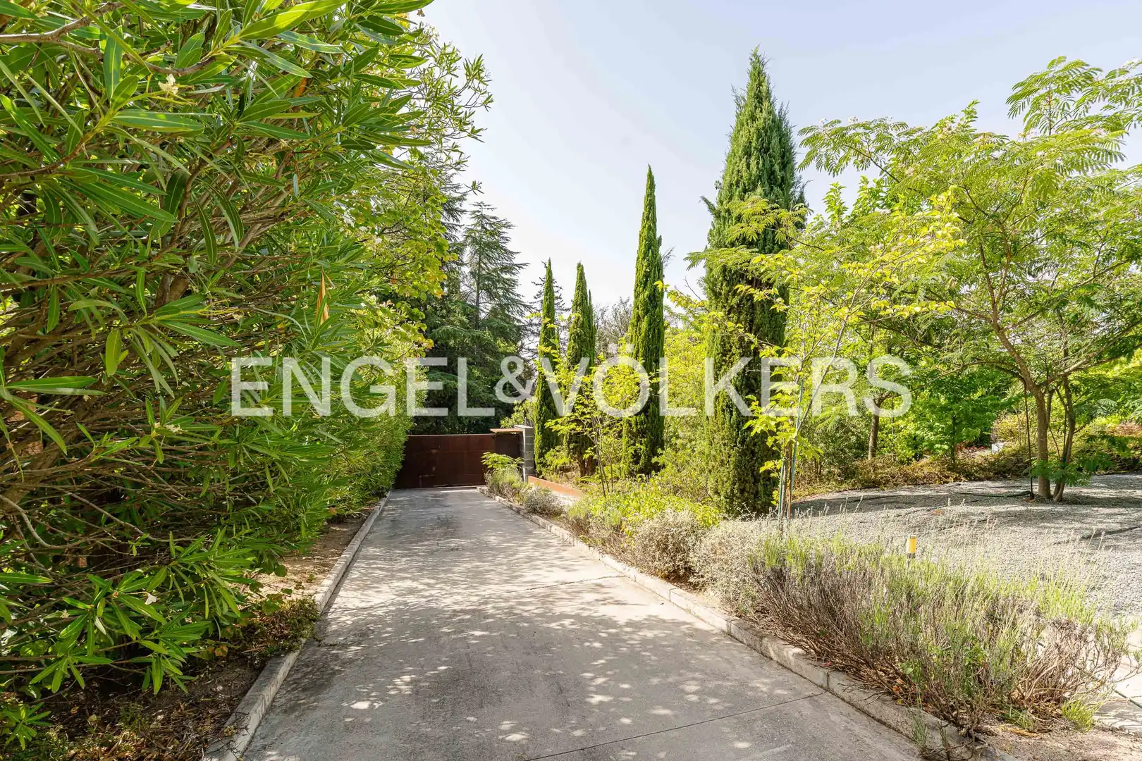 House with pool for sale in Molino de la Hoz, imagen 4