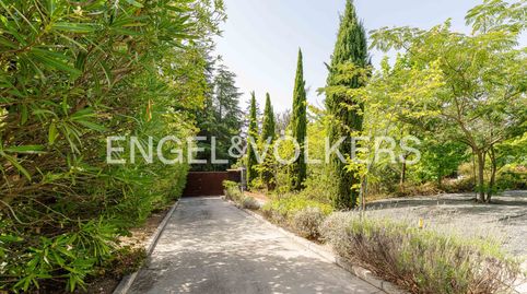 Diseño, arquitectura y naturaleza en perfecta armonía, imatge 4