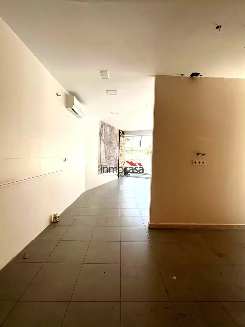 Commercial properties for rent in Avenida DON BOSCO, Barrio de Zaidín