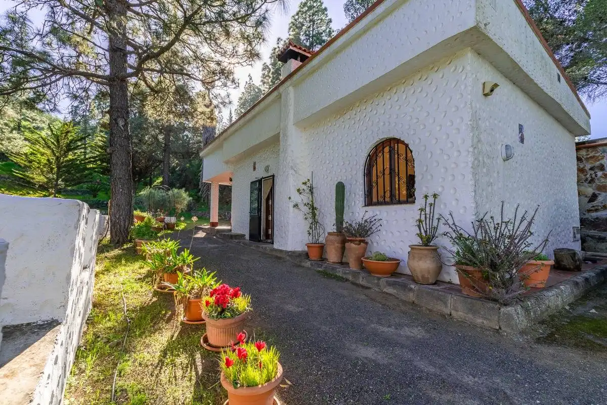 Vista exterior de Casa o xalet en venda en Telde amb Jardí privat