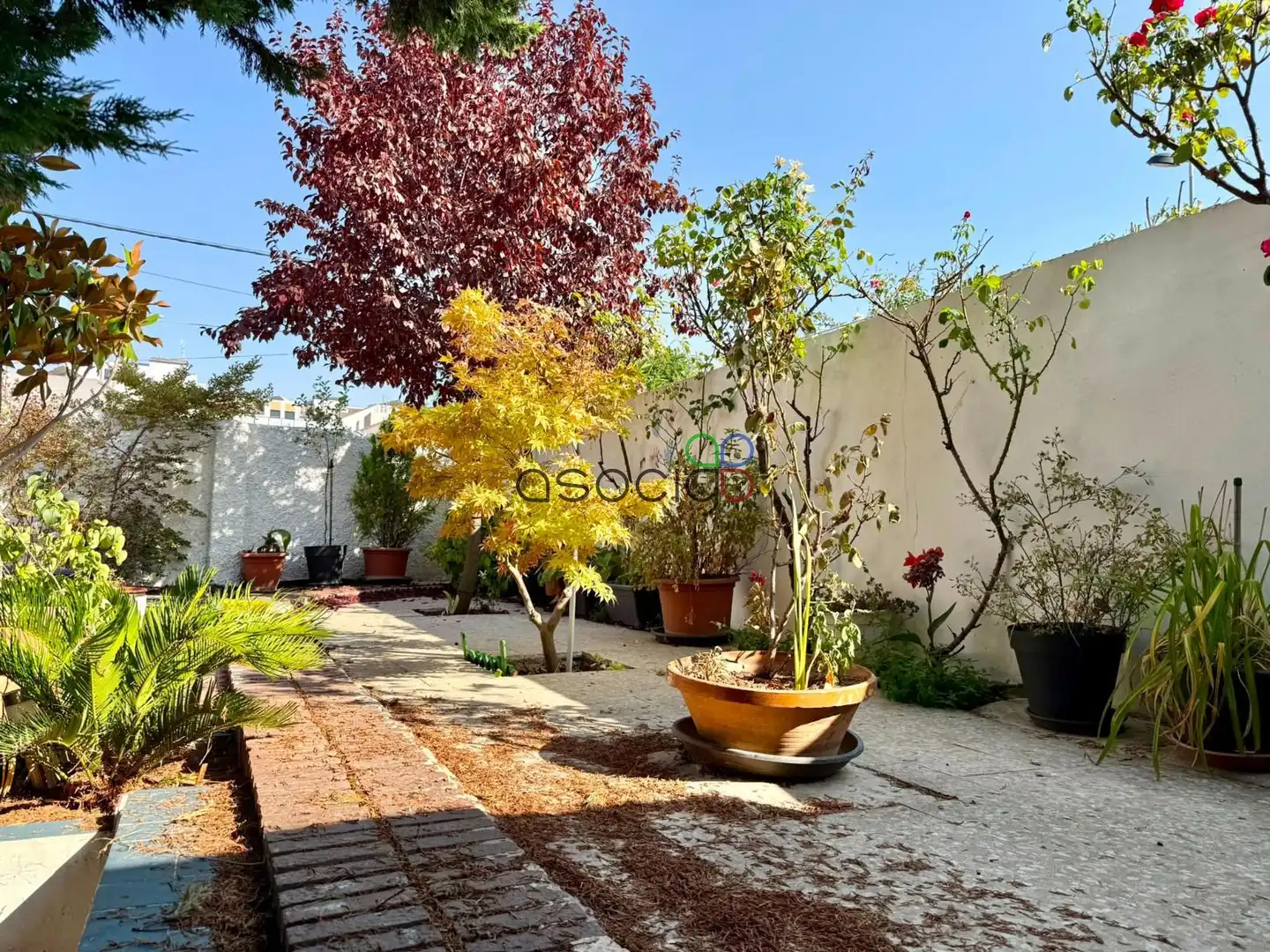 Jardí de Casa o xalet en venda en Alovera amb Calefacció, Jardí privat i Terrassa