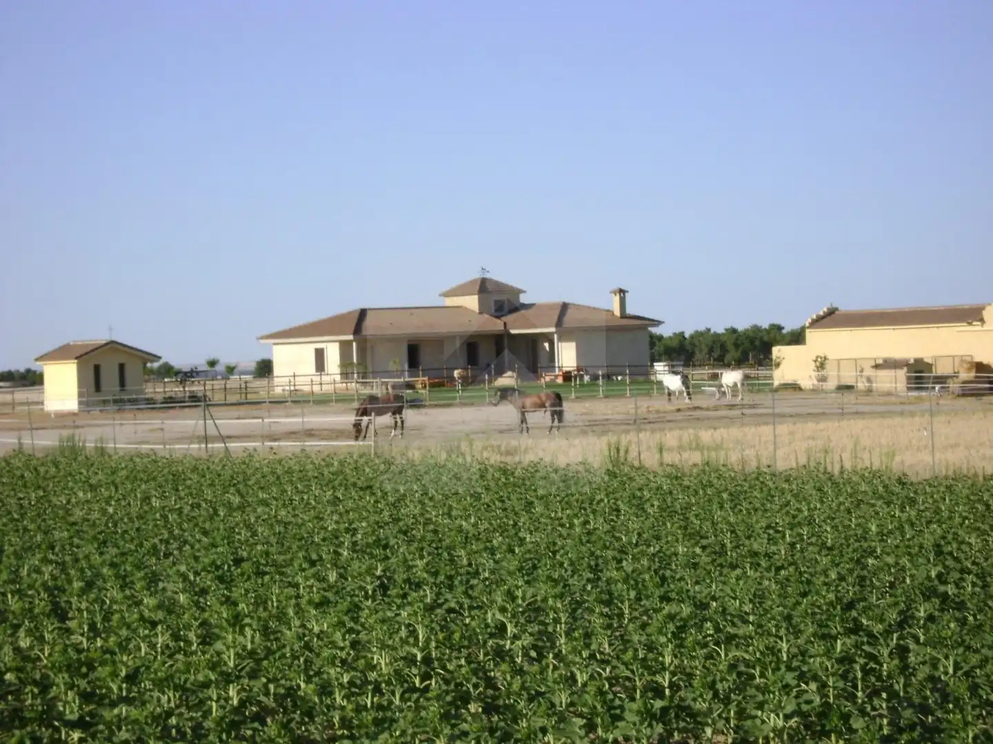Außenansicht von Country house zum Verkauf in Palacios de Goda mit Heizung