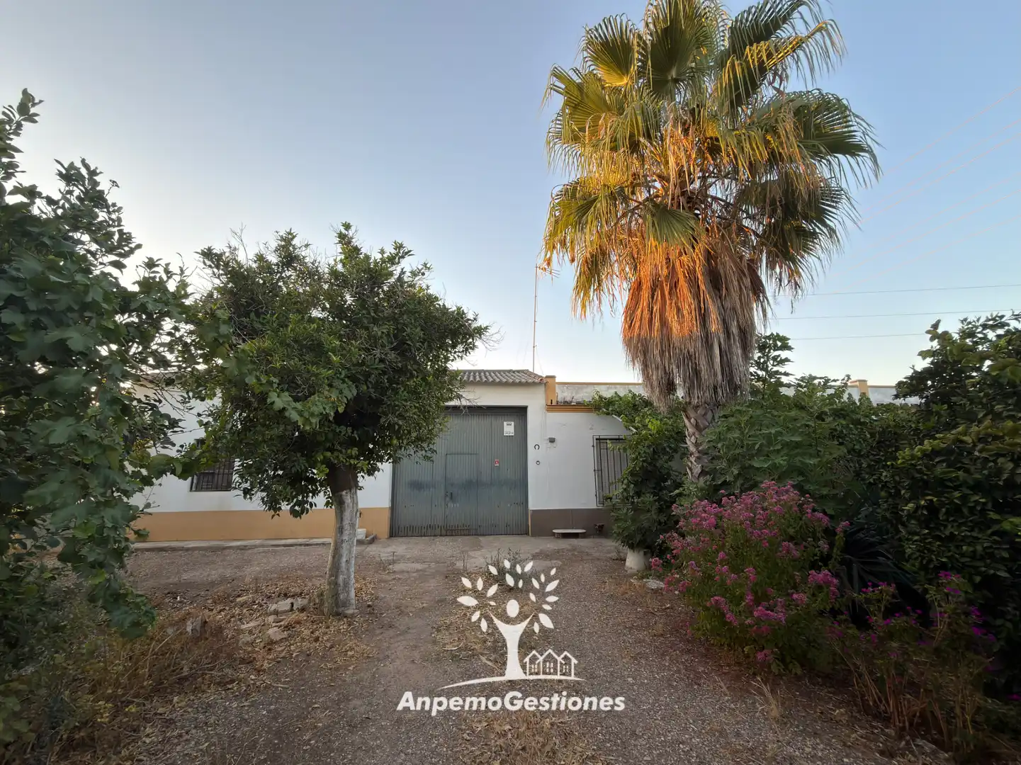 Casa amb jardí en venda a Diseminado Cr Remolino 38, imagen 9