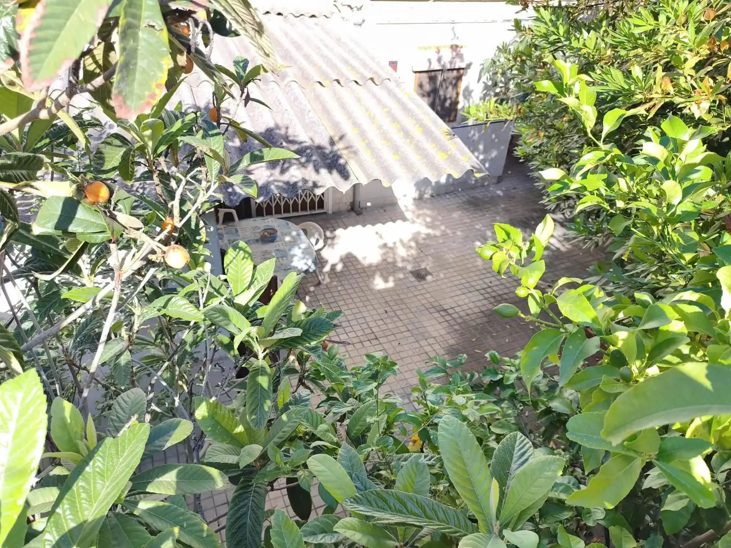 Jardí de Casa o xalet en venda en Sabadell amb Terrassa