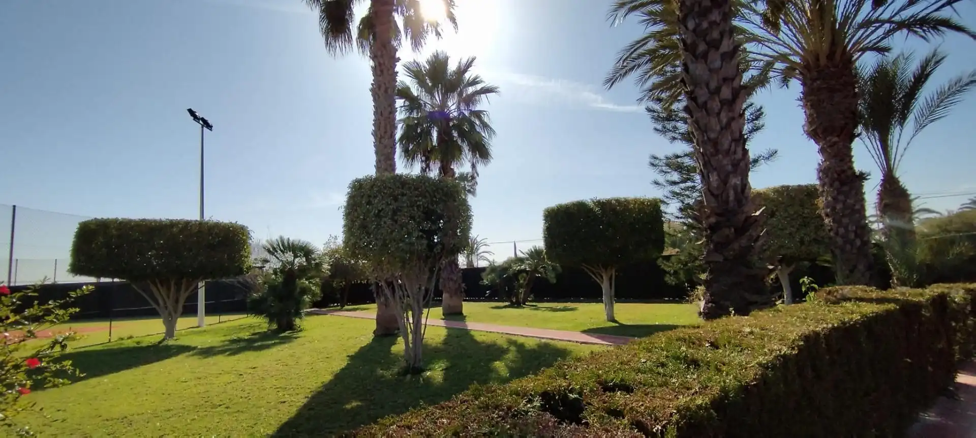 Garden of Houses for sale in Elche / Elx  with Air Conditioner, Private garden and Terrace