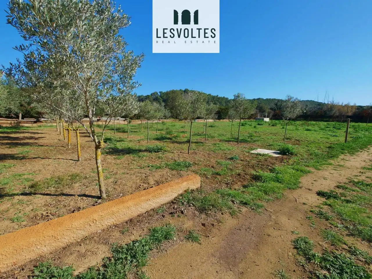 Lands and plots for sale in Camí Ral polígon 5 paecel.la, imagen 32