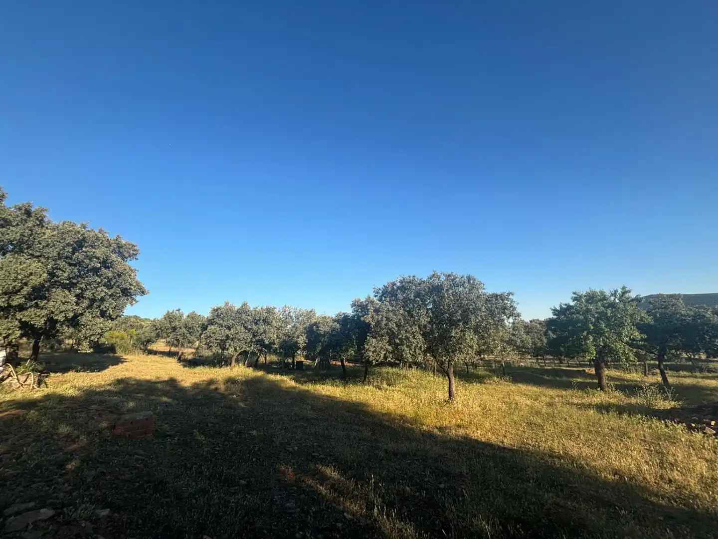 Casa rústica en venda a Malagón, imagen 20