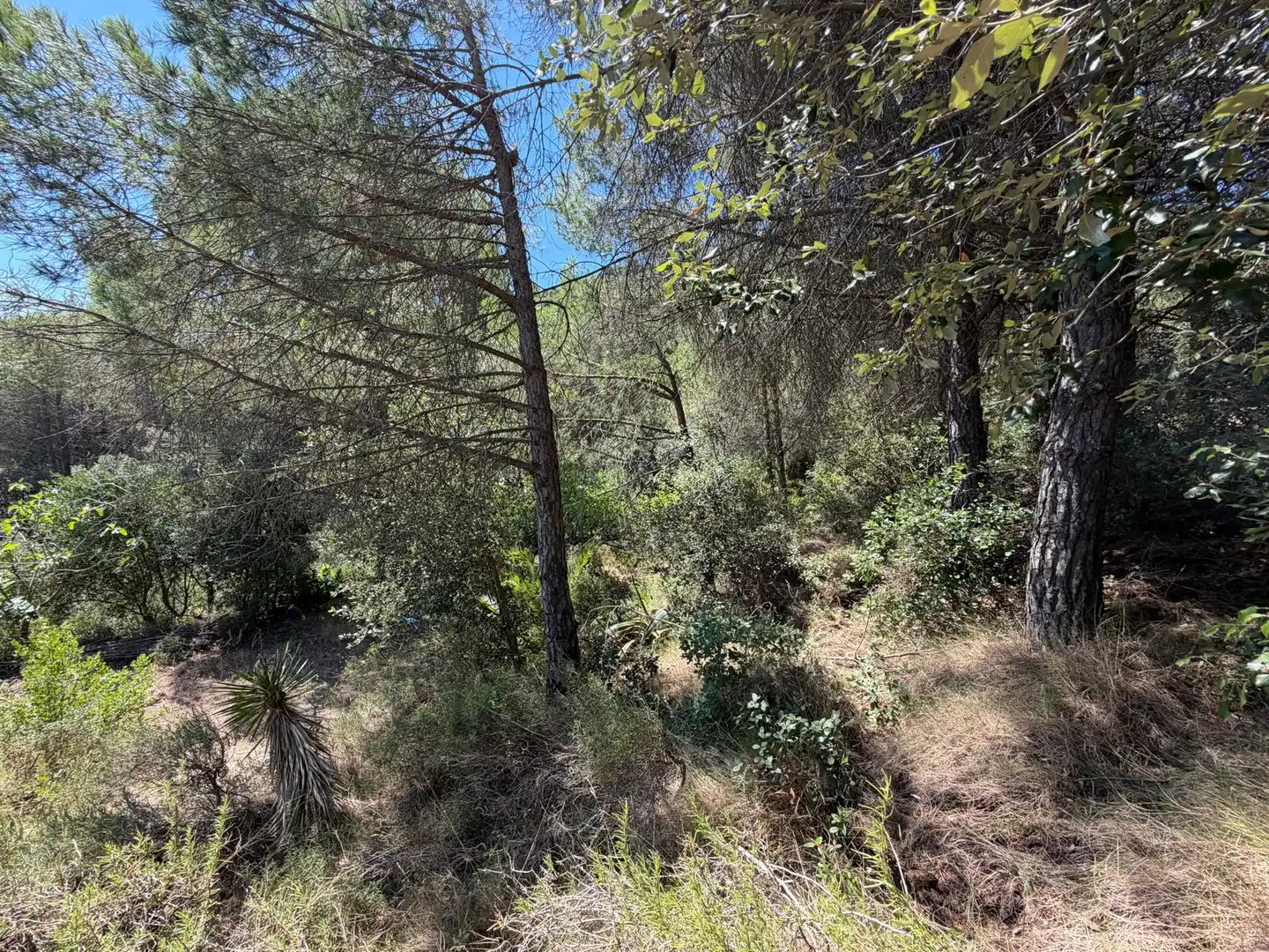 Country house with pool for sale in Cami de La Pedrera, imagen 51