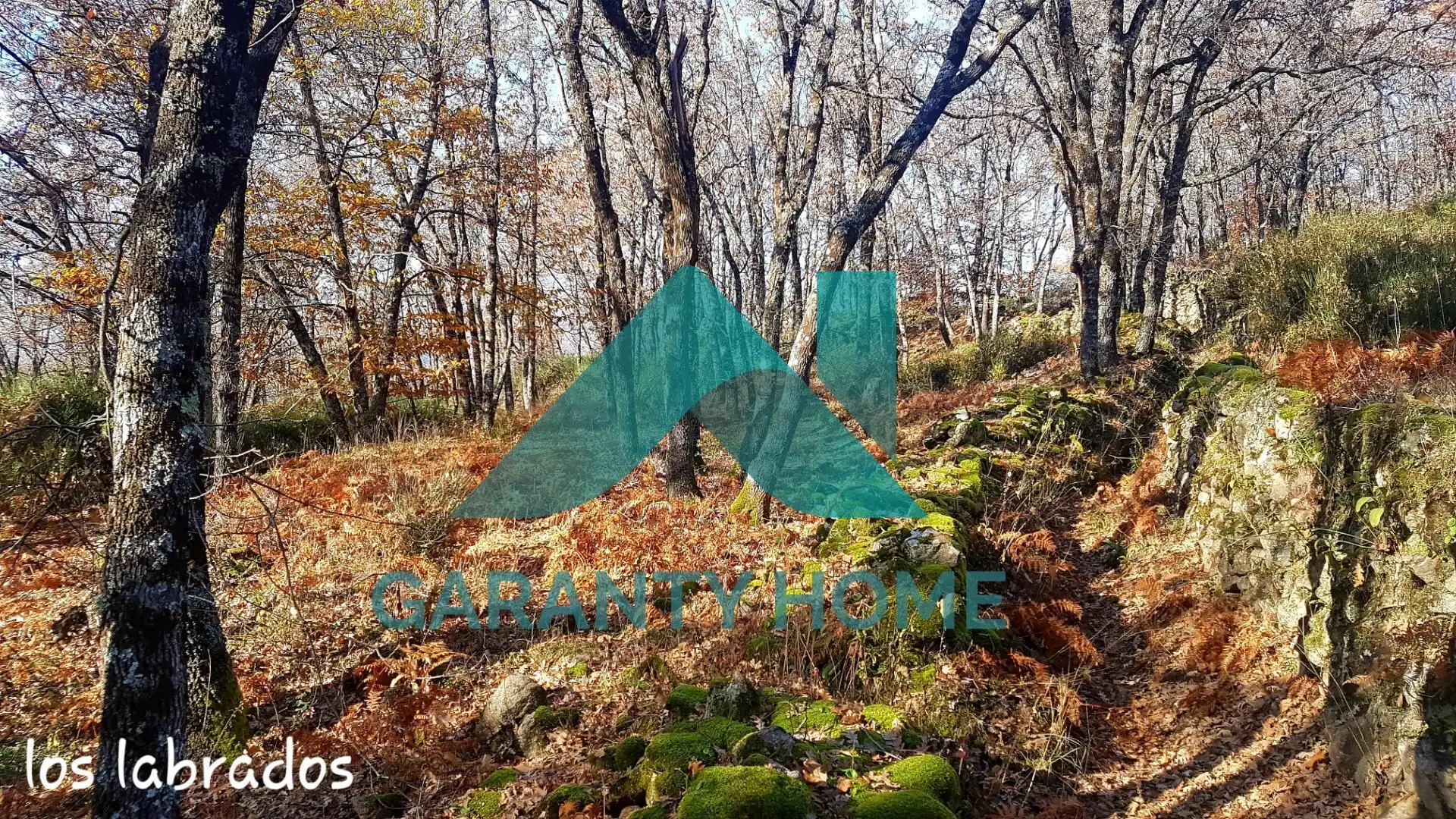 Finca rústica en venta en Aldeanueva de la Vera