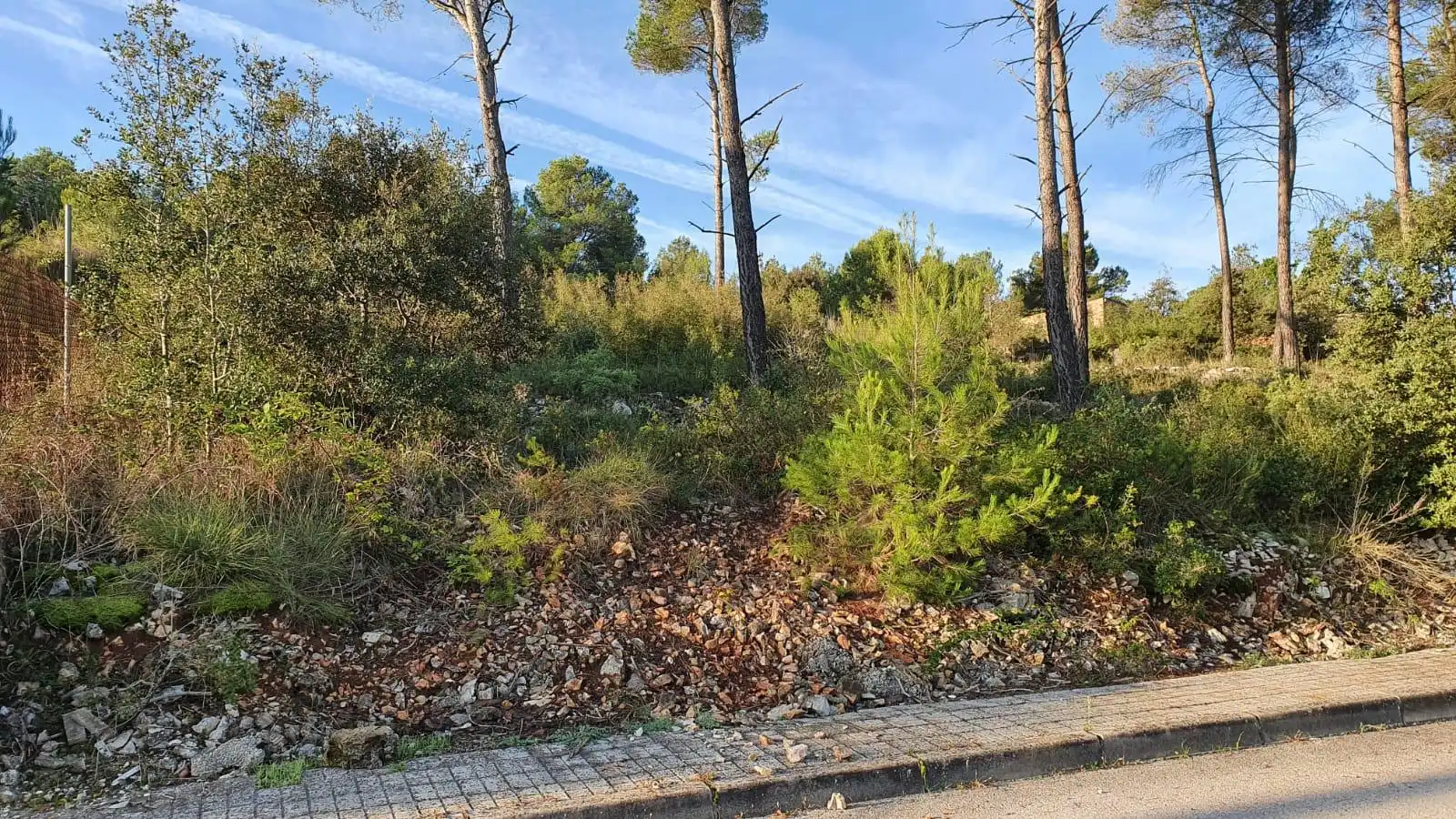 Terreny residencial en venda a La Torre de Claramunt, imagen 3