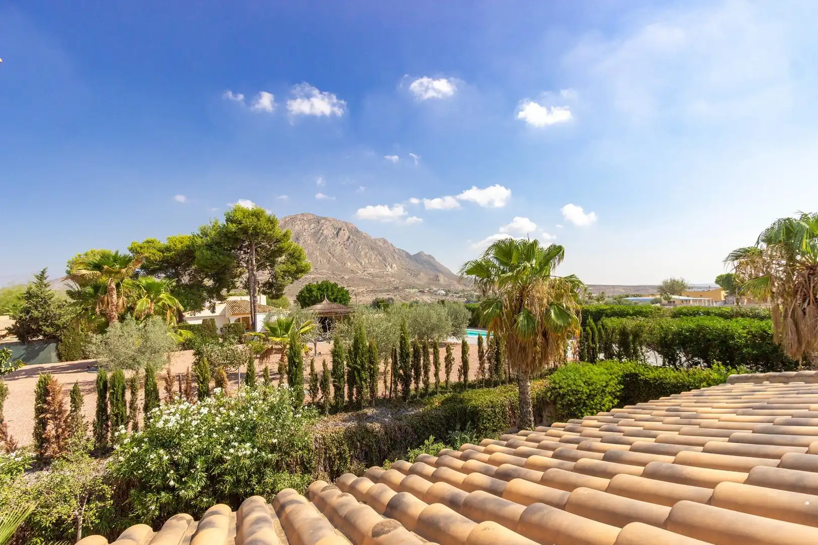 Vista exterior de Casa o xalet en venda en Alicante / Alacant amb Calefacció, Jardí privat i Terrassa