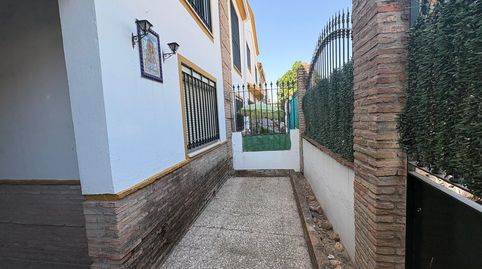 Photo 3 of Detached homes for sale in Calle Constantino Ponce de la Fuente, Colores - Entreparques, Sevilla Capital