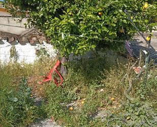 Garden of House or chalet for sale in Guadalcázar  with Private garden, Swimming Pool and Furnished