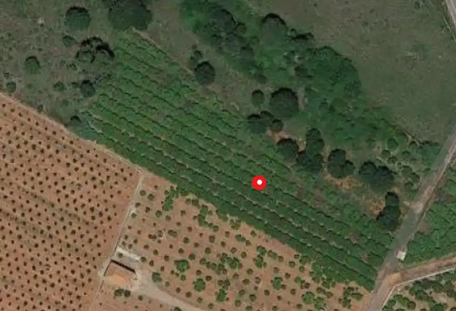 Terreny residencial en venda a PARAJE BENADRESA- POLIG 92-PARC 15 Y 16, imagen 9