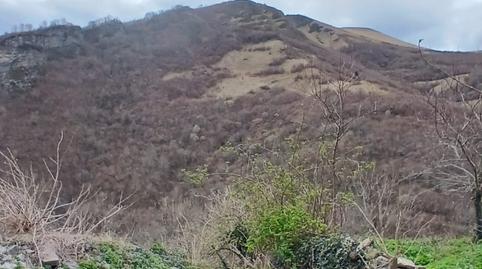 Photo 5 of Single-family semi-detached for sale in Tudanca - Bo Santotis, 50, Tudanca, Cantabria