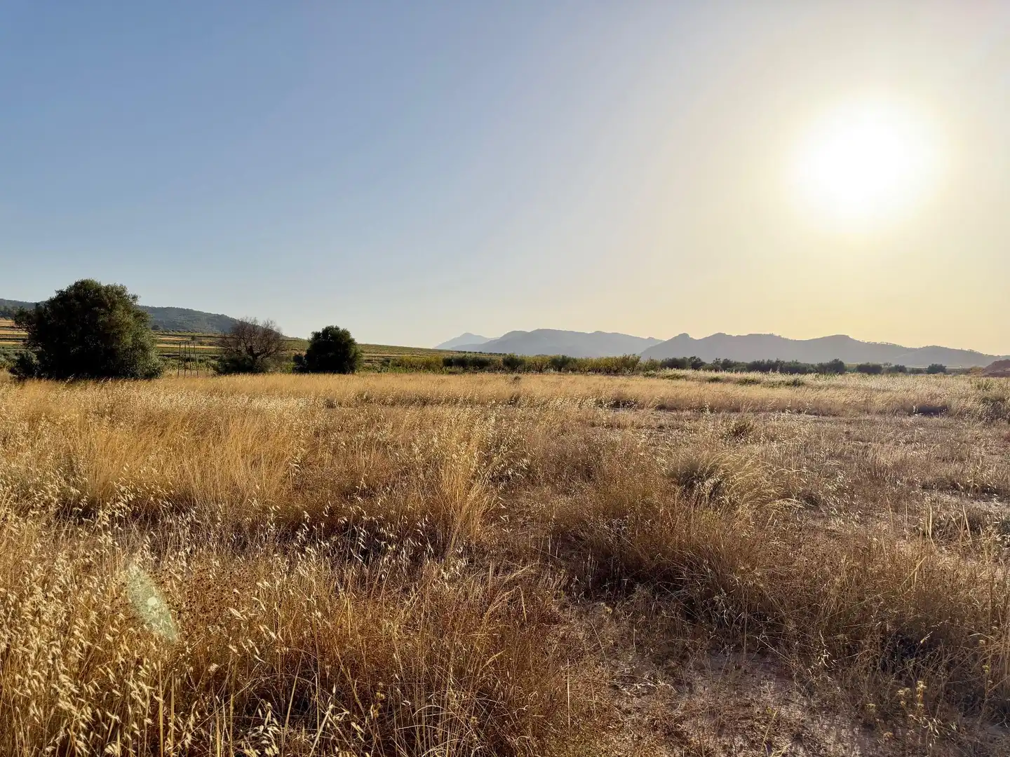 Rural land for sale in Algueña, imagen 6