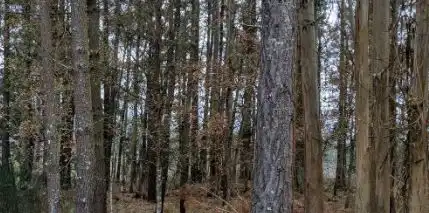 House for sale in DP-1907, imagen 7