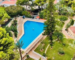 Swimming pool of Study for sale in Benidorm  with Furnished, Washing machine and Microwave