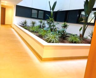 Terrassa de Pis de lloguer en Las Palmas de Gran Canaria amb Traster, Forn i Rentadora