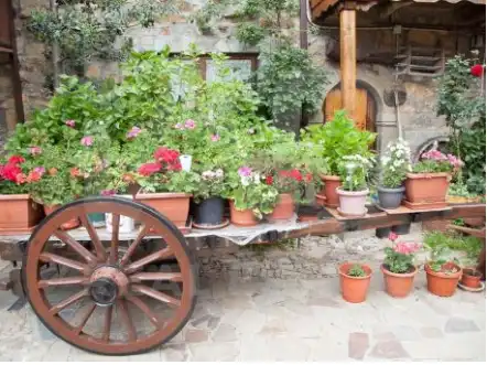 Garten von Geschaftsraum zum Verkauf in Santa Colomba de Somoza