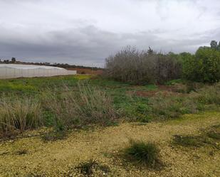 Finca rústica en venda en Chiclana de la Frontera