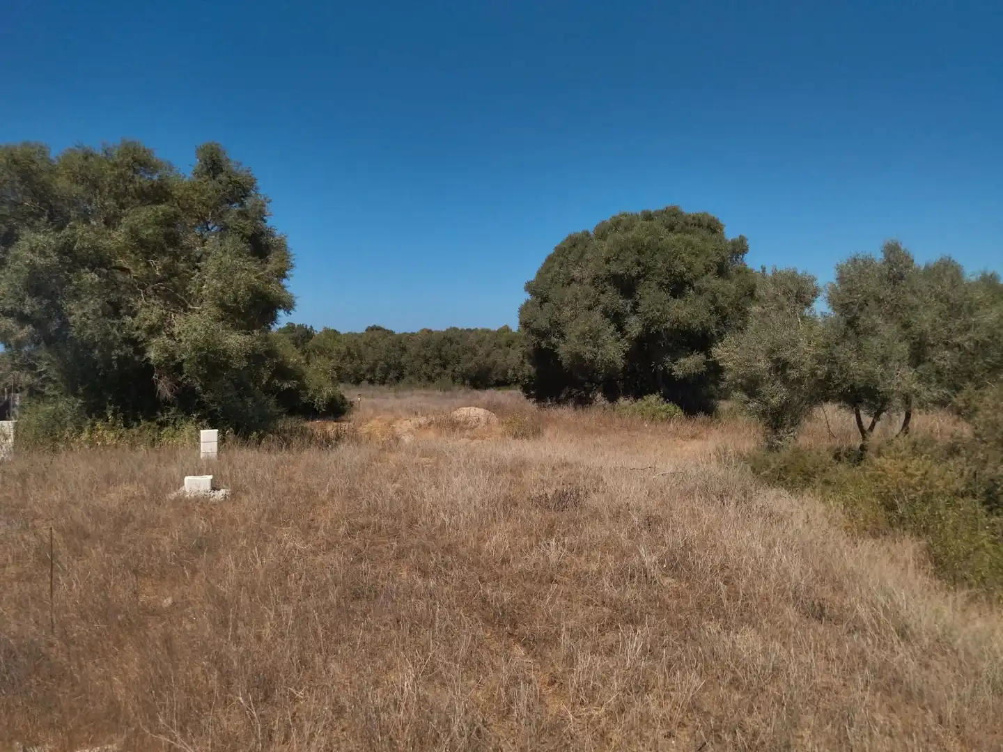 Terreno en venta en Vejer de la Frontera