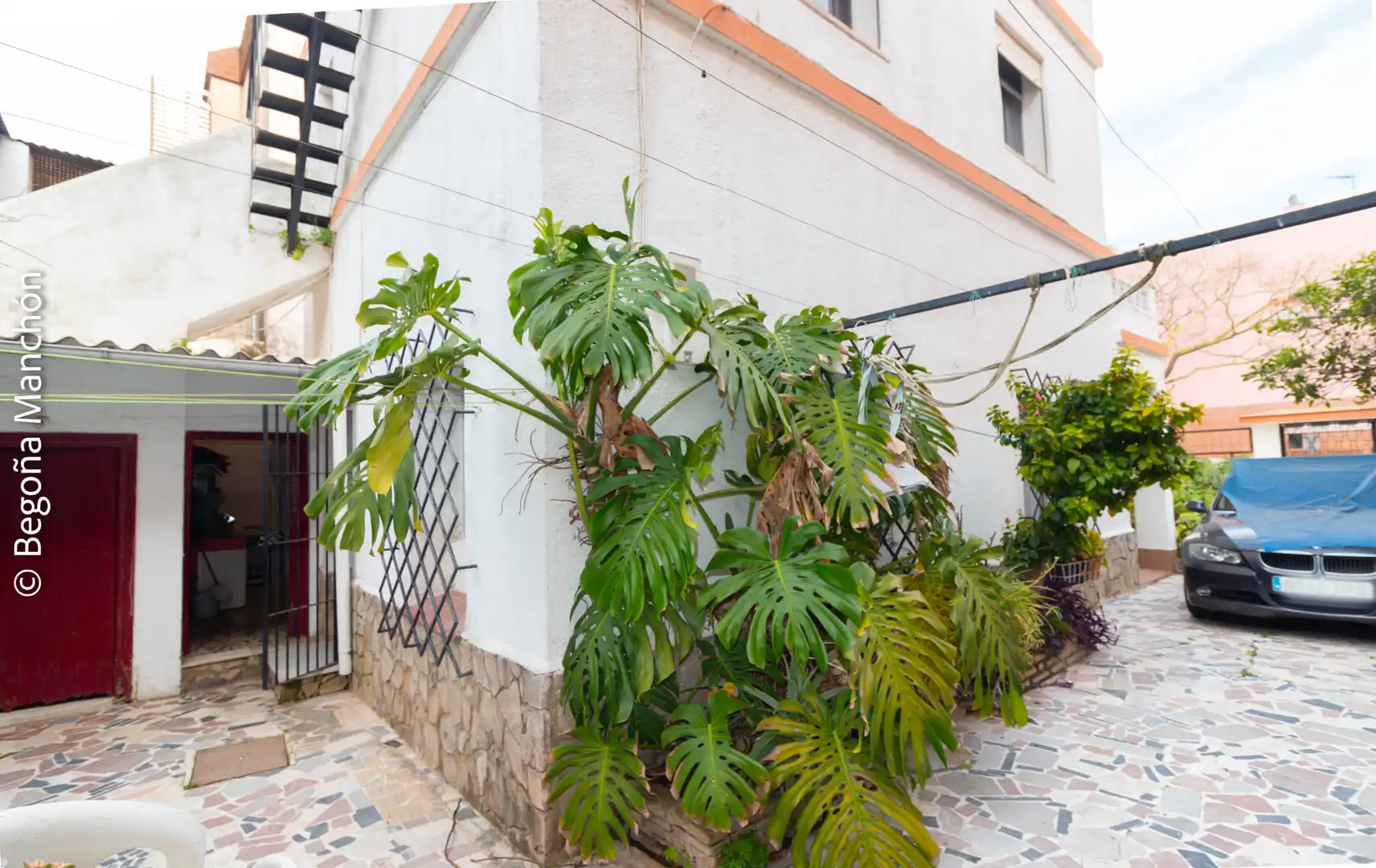 Jardín de Casa o chalet en venta en Cádiz con Jardín privado, Terraza y Trastero