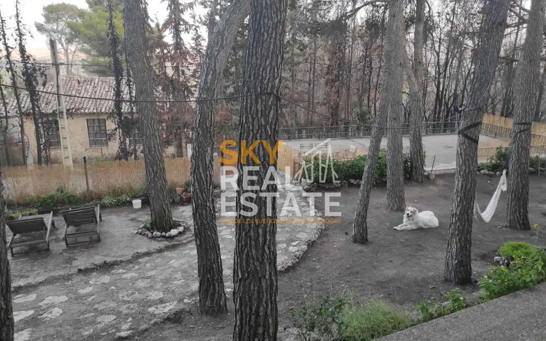 Buildings for sale in Borja