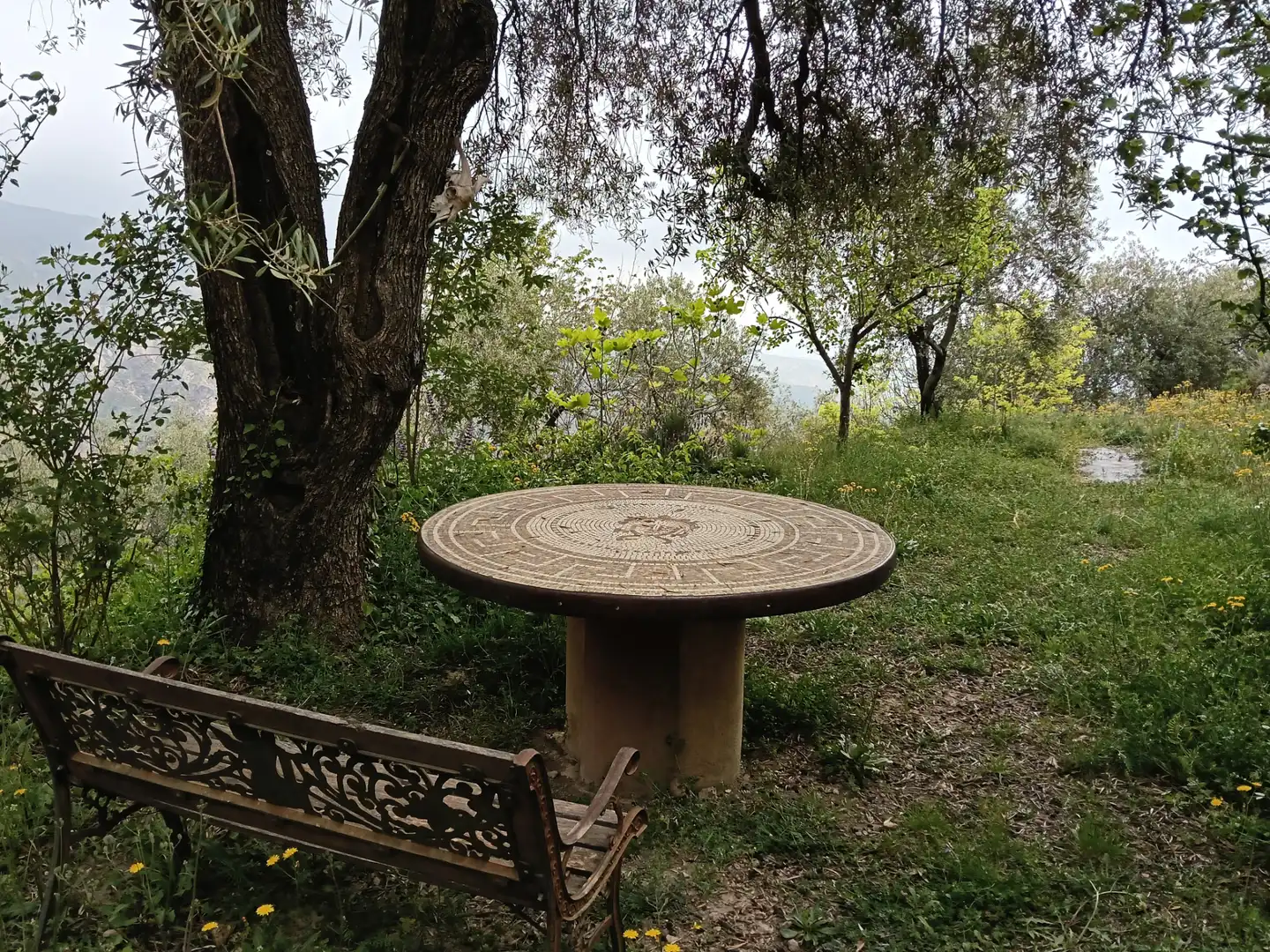 Terreni e lotti in vendita a Alpujarra de la Sierra, imagen 24