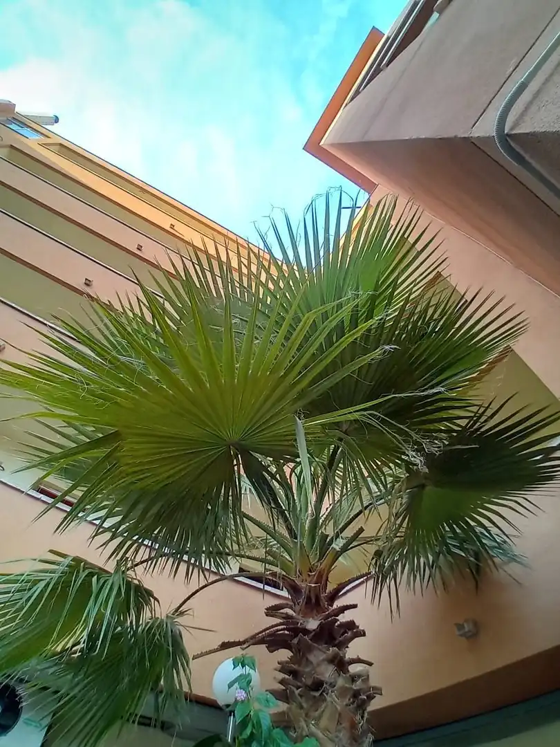 Ático en venta en BARBASTRE, Mar i Camp - Platja dels Capellans