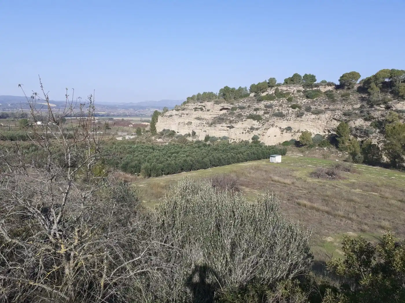 Finca rústica en venda en Ginestar
